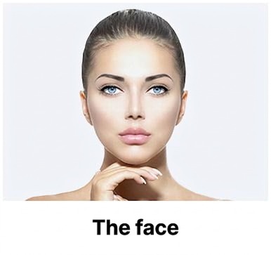 Rejuran Healer treatment area — face