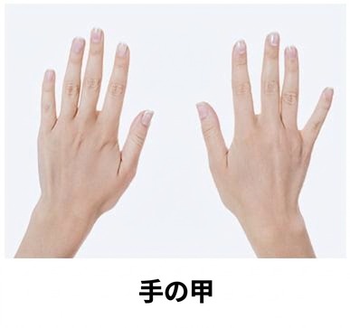 リジュランヒーラー施術部位 — 手の甲