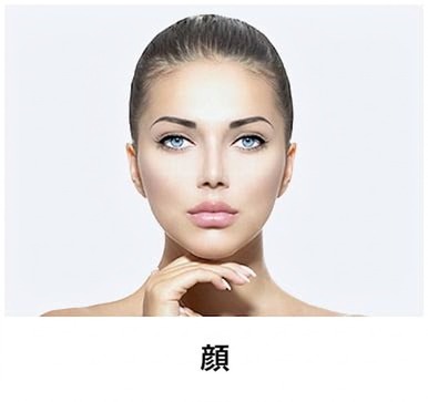 リジュランヒーラー施術部位 — 顔