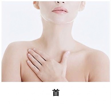 リジュランヒーラー施術部位 — 首