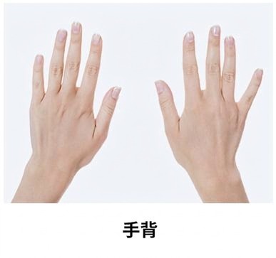 丽珠兰修复治疗部位 — 手背